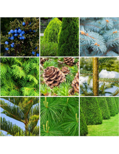 Fertilizante en Picos para Árboles y Arbustos 2.72 kg 2