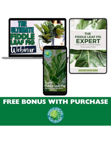 Fertilizante Líquido Fiddle Leaf Fig 226.8ml - Sin Urea NPK 3-1-2