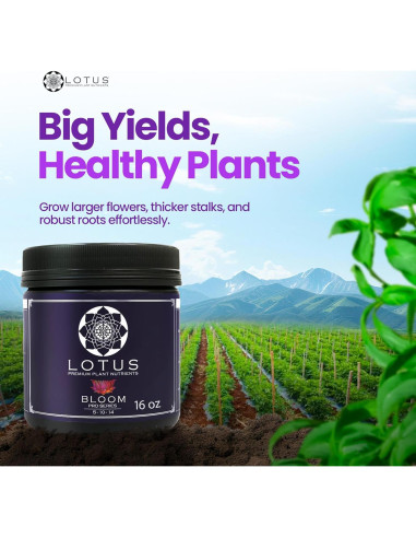 Nutrientes Hidropónicos Lotus 453.6g - Fertilizante para Floración