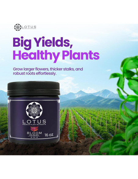 Nutrientes Hidropónicos Lotus 453.6g - Fertilizante para Floración