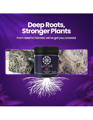 Nutrientes Hidropónicos Lotus 453.6g - Fertilizante para Floración