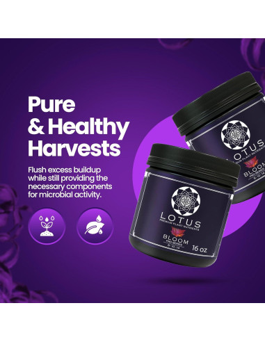 Nutrientes Hidropónicos Lotus 453.6g - Fertilizante para Floración