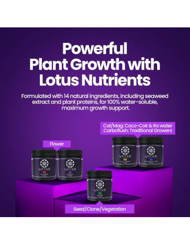 Nutrientes Hidropónicos Lotus 453.6g - Fertilizante para Floración