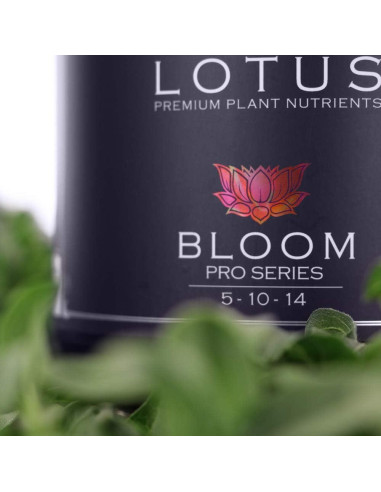 Nutrientes Hidropónicos Lotus 453.6g - Fertilizante para Floración