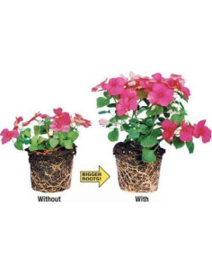 Fertilizante Granular Rootblast 340g - Crecimiento Rápido 2