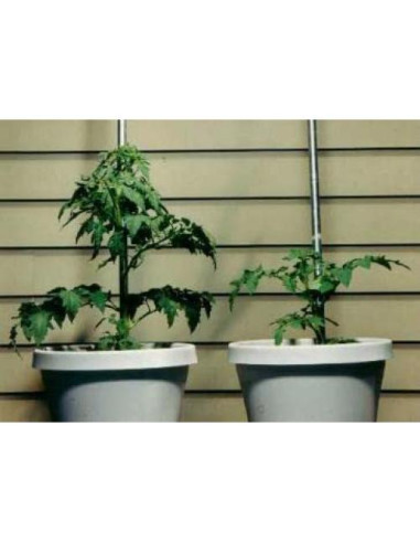 Fertilizante Granular Rootblast 340g - Crecimiento Rápido