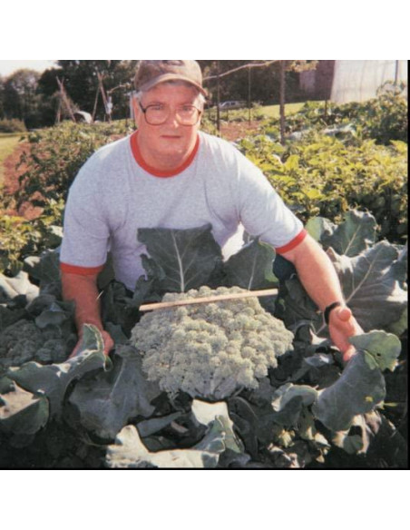 Fertilizante Granular Rootblast 340g - Crecimiento Rápido