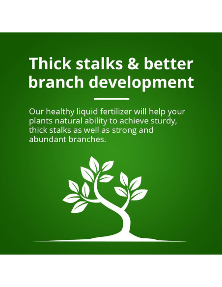 Fertilizante Líquido Humboldts Secret Tree Trunk 0.95L