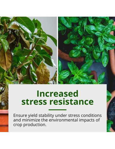 Fertilizante Líquido Humboldts Secret Tree Trunk 0.95L