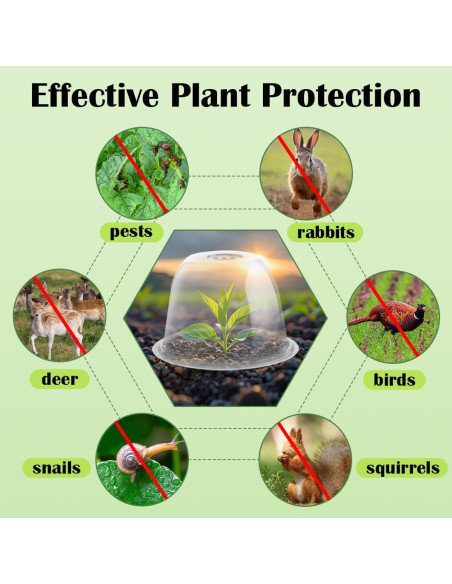 Cloche de Jardín RooTrimmer 5-Pack 25.4 cm D x 17 cm H