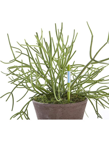 Medidor de Humedad del Suelo Sustee Mediano Verde con 3 Núcleos