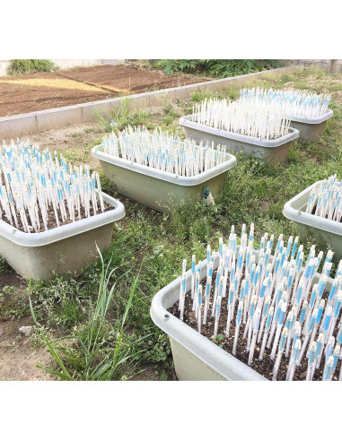 Medidor de Humedad del Suelo Sustee Mediano Verde con 3 Núcleos