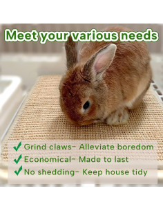 Alfombrilla de Rascado para Conejos KEYIDE 40x30cm Yute Natural 2