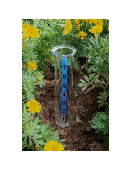 Medidor de Lluvia de Vidrio Mateda 7" con Tapa para Jardín