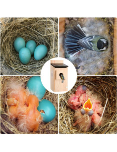 Kit Casa para Aves DIY Eyrizon de Madera de Cedro con Protector 2