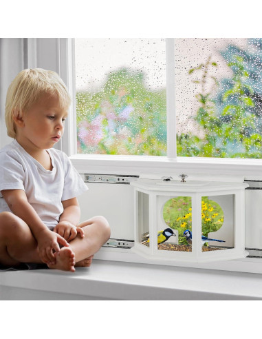 Comedero para Aves de Ventana XYADX 180 Madera Acrílico