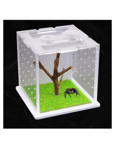 Caja de Cría Acrílica DQITJ para Arañas y Insectos 6x6x6cm