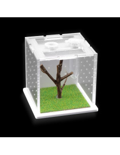 Caja de Cría Acrílica DQITJ para Arañas y Insectos 6x6x6cm 2