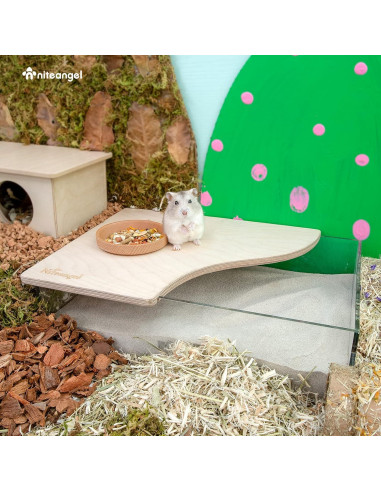 Caja de Baño de Arena Rectangular Niteangel para Hámsters