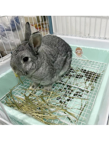 Caja de Arena Mejorada PODOO para Conejos y Cobayas - Mediana