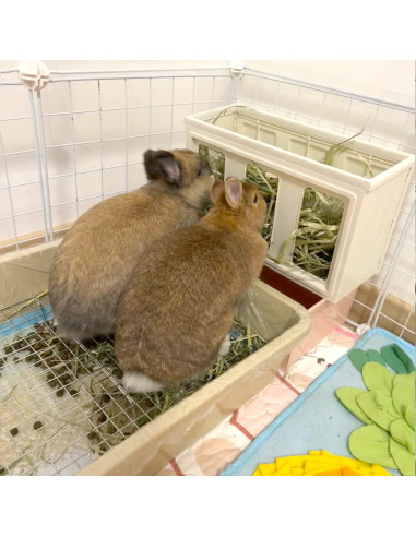 Caja de Arena Mejorada PODOO para Conejos y Cobayas - Mediana