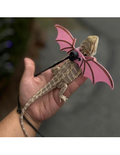 Arnés y Correa Ajustable para Lagarto con Alas - 3 Tamaños S/M/L - Cuero Suave 2