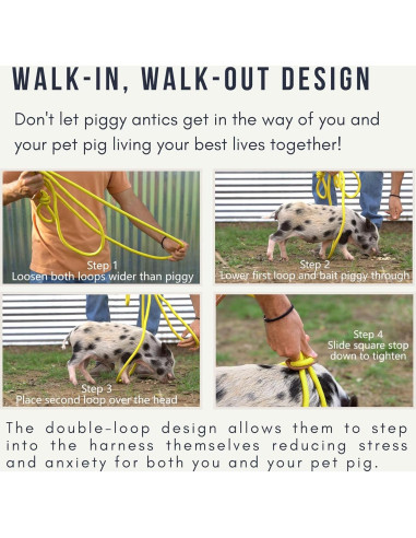 Arnés y Correa Ajustable para Mini Cerdo PORCINE - Rosa Malva