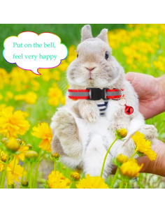 Collares Ajustables para Conejos y Cobayas DQITJ - 4 Piezas 2