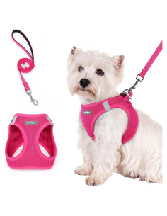 Arnés para Perros Rabbitgoo S Rojo Rosa con Correa Reflectante