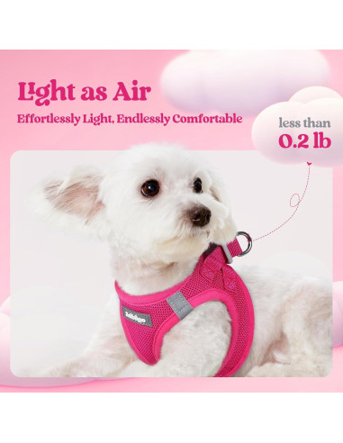Arnés para Perros Rabbitgoo S Rojo Rosa con Correa Reflectante