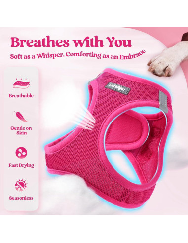 Arnés para Perros Rabbitgoo S Rojo Rosa con Correa Reflectante