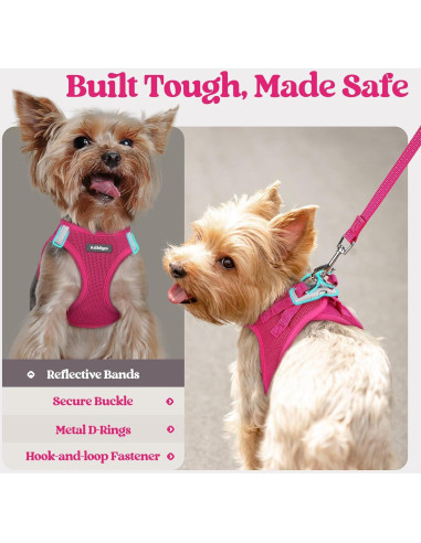 Arnés para Perros Rabbitgoo S Rojo Rosa con Correa Reflectante