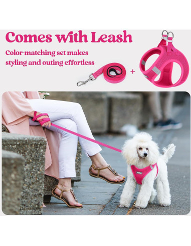 Arnés para Perros Rabbitgoo S Rojo Rosa con Correa Reflectante