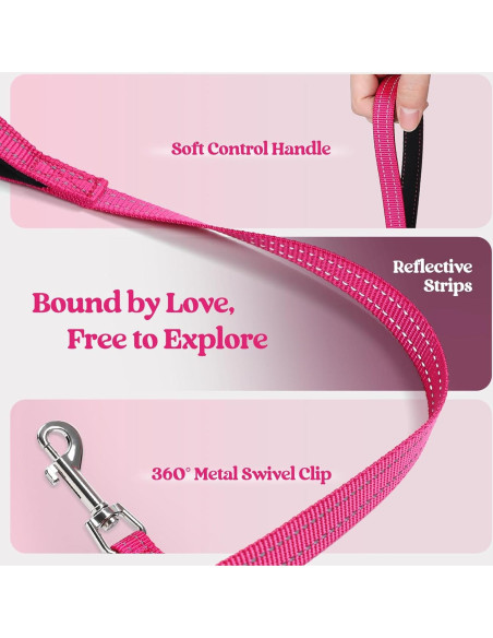 Arnés para Perros Rabbitgoo S Rojo Rosa con Correa Reflectante