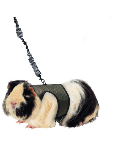 Arnés de Comodidad Kaytee Grande con Correa Elástica 1.83m