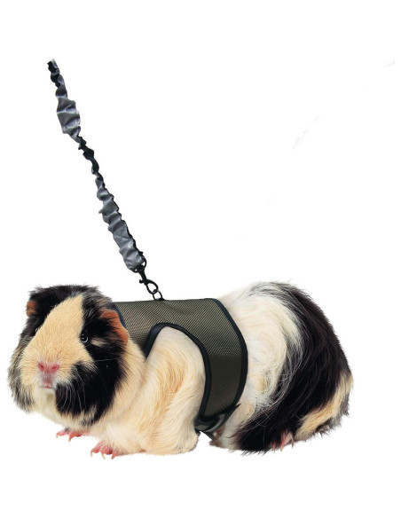 Arnés de Comodidad Kaytee Grande con Correa Elástica 1.83m