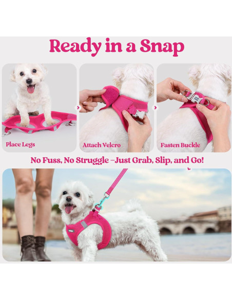 Arnés para Perros Rabbitgoo S Rojo Rosa con Correa Reflectante