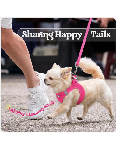 Arnés para Perros Rabbitgoo S Rojo Rosa con Correa Reflectante