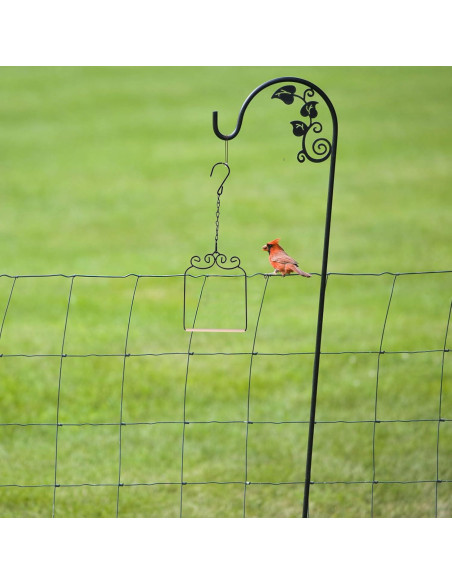 2PK Columpios de Colibrí Metal y Madera XYADX 13x17cm