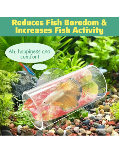 Túnel Acrílico para Peces Betta Hamiledyi 2 Unidades 8x4 cm