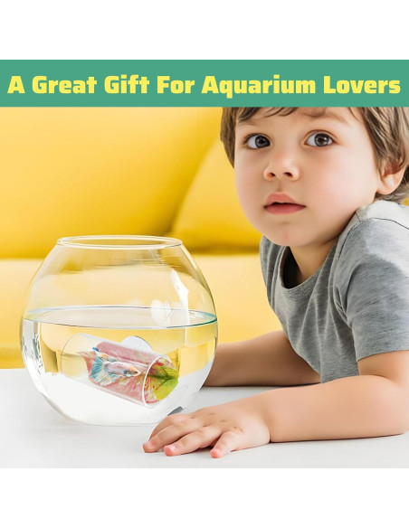 Túnel Acrílico para Peces Betta Hamiledyi 2 Unidades 8x4 cm