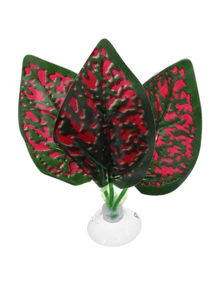 Hojas de pez Betta CAPASTEC - Simulación hábitat natural 3 pcs