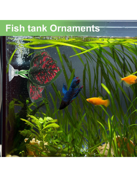 Hojas de pez Betta CAPASTEC - Simulación hábitat natural 3 pcs