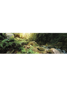 Adherencia de Terrario Bosque Galápagos 28x91 cm 2