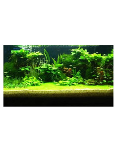 Fondo de Acuario 3D PVC Pengke 61x30 cm Decorativo