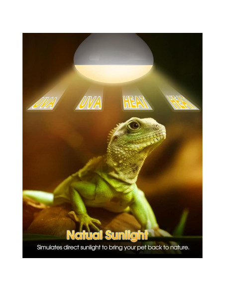 Bombillas de Calor para Reptiles TuoF 100W Paquete de 2