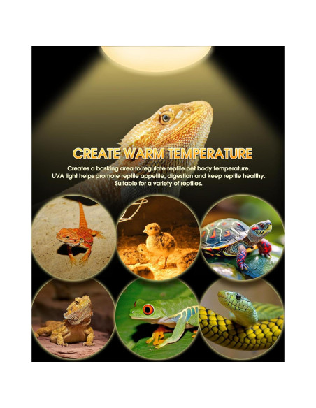 Bombillas de Calor para Reptiles TuoF 100W Paquete de 2