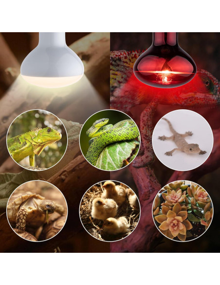 Bombillas de Calor UVA y Roja 100W para Reptiles - 2 Piezas