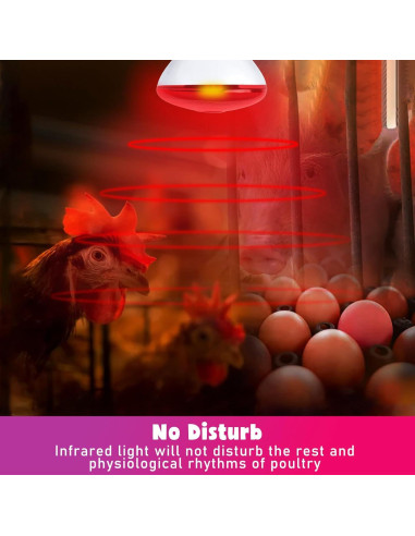 Lámpara de Calor Infrarroja LUCKY HERP 250W para Pollos y Reptiles