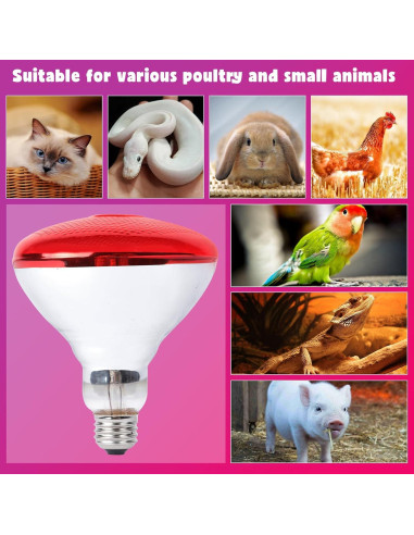 Lámpara de Calor Infrarroja LUCKY HERP 250W para Pollos y Reptiles